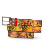 Flowers of Idaho Belt Spring