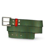 Golden Scales Belt